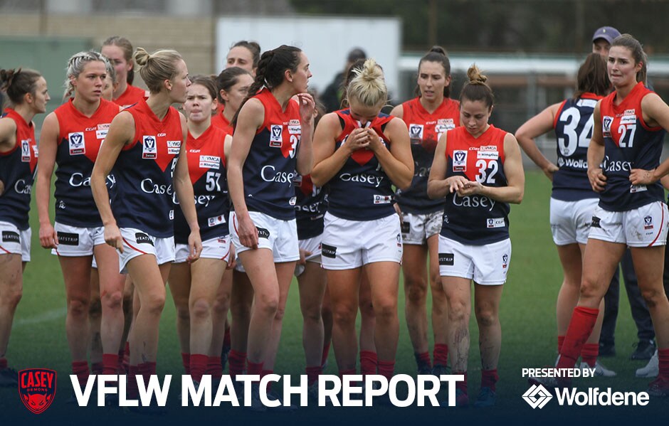 190630_VFLW_MatchReport.jpg